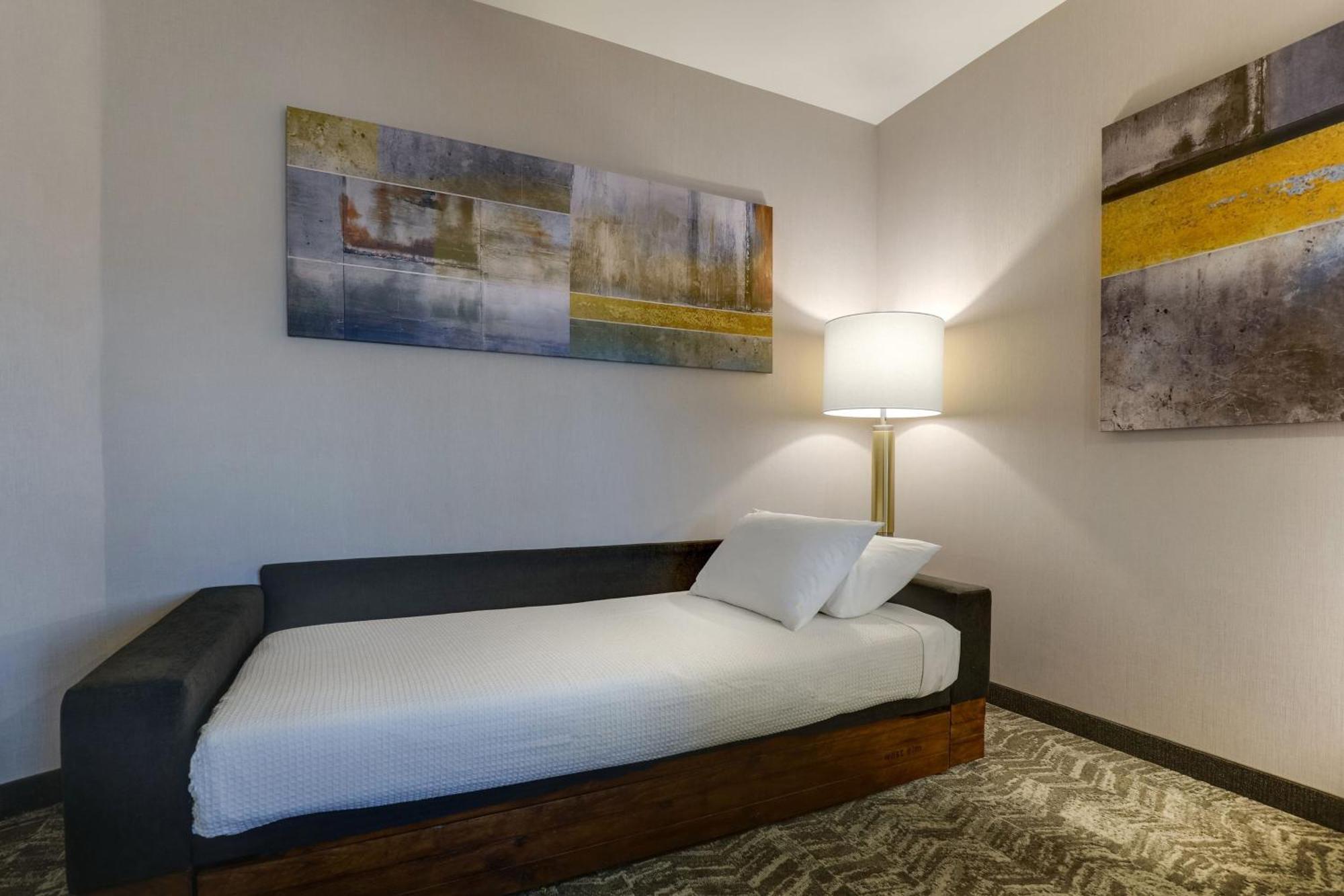 Springhill Suites By Marriott Cheraw Экстерьер фото